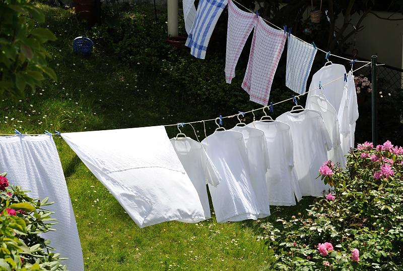 770_3691 Wäsche auf der Leine in einem Garten von Hamburg Blankenese. | Wäsche auf der Leine - große Wäsche trocknen im Freien.